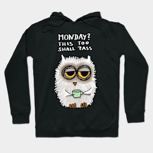 Monday? This too shall pass! Hoodie